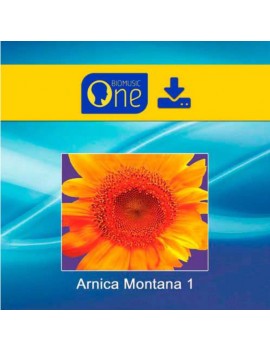 cd arnica montana 1