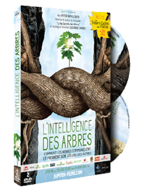 dvd l’intelligence des arbres