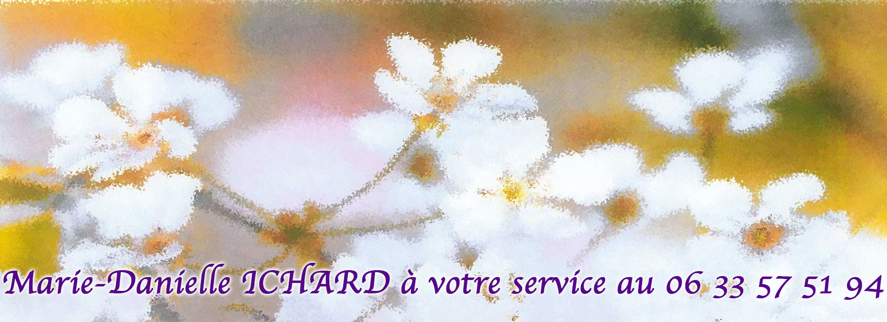 MD-service.jpg